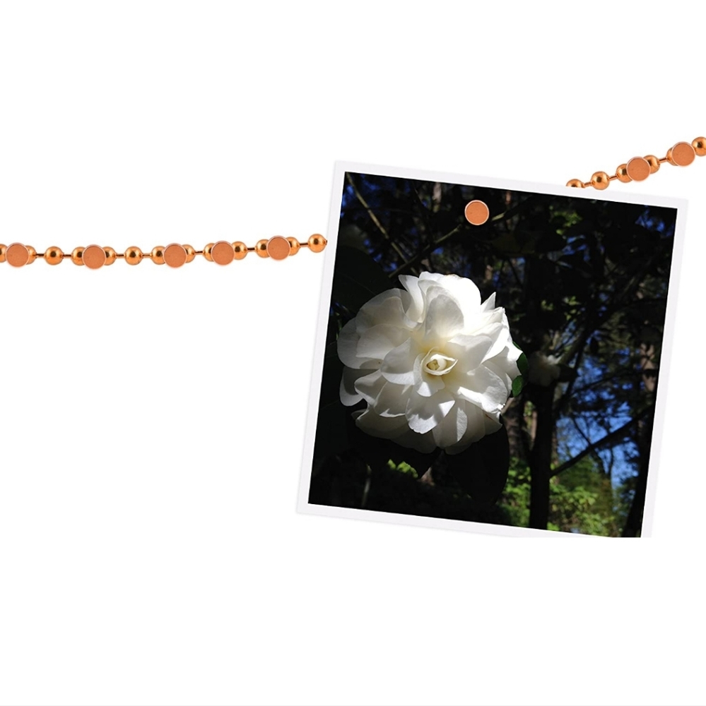 Chained up Chain & Magnet Display - Picture 2 of 9